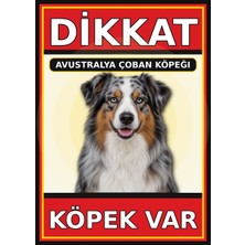 Ti Play Avustralya Çoban Köpeği Dikkat Köpek Var Levhası 21X30 cm Uv Baskılı Pvc Uyarı Tabelası