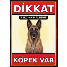 Ti Play Belçika Malinois Dikkat Köpek Var Levhası 50X70 cm Uv Baskılı Pvc Uyarı Tabelası