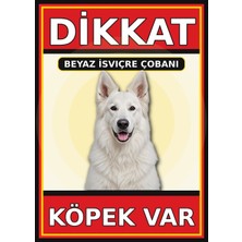 Ti Play Beyaz Isviçre Çobanı Dikkat Köpek Var Levhası 21X30 cm Uv Baskılı Pvc Uyarı Tabelası