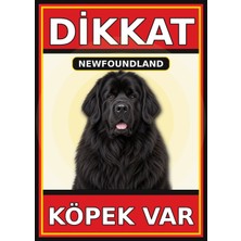Ti Play Newfoundland Dikkat Köpek Var Levhası 21X30 cm Uv Baskılı Pvc Uyarı Tabelası