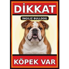 Ti Play Ingiliz Bulldog Dikkat Köpek Var Levhası 50X70 cm Uv Baskılı Pvc Uyarı Tabelası