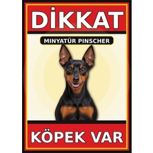 Ti Play Minyatür Pinscher Dikkat Köpek Var Levhası 35X50 cm Uv Baskılı Pvc Uyarı Tabelası