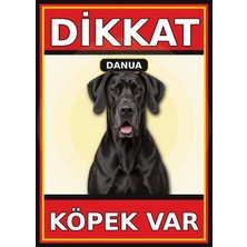 Ti Play Danua Dikkat Köpek Var Levhası 50X70 cm Uv Baskılı Pvc Uyarı Tabelası
