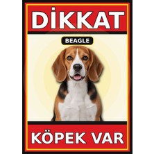 Ti Play Beagle Dikkat Köpek Var Levhası 50X70 cm Uv Baskılı Pvc Uyarı Tabelası
