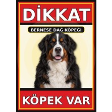 Ti Play Bernese Dağ Köpeği Dikkat Köpek Var Levhası 50X70 cm Uv Baskılı Pvc Uyarı Tabelası