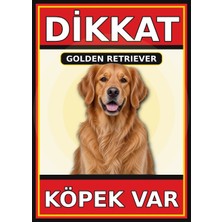 Ti Play Golden Retriever Dikkat Köpek Var Levhası 21X30 cm Uv Baskılı Pvc Uyarı Tabelası