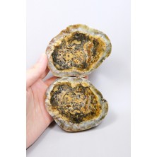 Healcrystal Kahverengi Dendrit Opal Kesilmiş Çift - Zengin Bal-Okra Çekirdeği ile Ince Siyah Dendrit Örgü, 408G