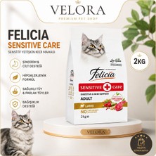 Velora Grup Felicia Sensitive Care Kuzu Etli Yetişkin Kedi Maması 2 kg - Hassas Sindirim ve Cilt Destekli