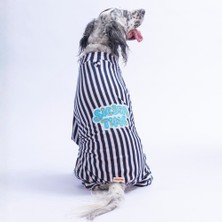 Pawstar Sevilla Siesta Tulum Orta ve Büyük Irk Köpek Tulum-Köpek Kıyafeti