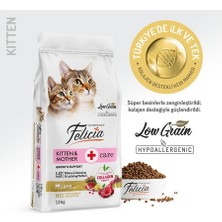 Catmania Kuzulu Az Tahıllı Yavru Kedi Maması 12 kg Felicia