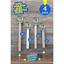 Vixpet Venty 4 Adet Papağan Tüneği | Doğal ve Pedikür Tünek Seti | Jako, Amazon, Alexander, Kayık, Sultan, Monk, Senegal, Lori | M810