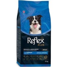 Bin1çeşit Orta ve Büyük Irk Somonlu Yetişkin Köpek Maması 12 kg