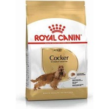 Bin1çeşit Cocker Spaniel Adult Yetişkin Köpek Maması 3 kg