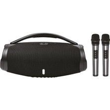 40W 3000 Mah Çift Mikrofonlu Taşınabilir Bluetooth Hoparlör BTS-X300