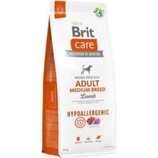 Bin1çeşit Hypoallergenic Adult Medium Breed Kuzulu Orta Irk Yetişkin Köpek Maması 12 kg