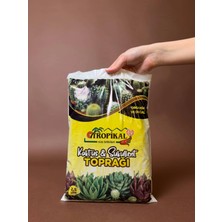 Tropikal Kaktüs ve Sukulent Toprağı 2,5 Litre, Cocopeat, Dere Kumu, Kil Bilyesi ve Perlit Içeren Hazır Karışım, Yüksek Drenajlı Kaktüs Toprağı, Dezenfekte Edilmiş