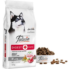 Az Tahıllı 15 kg Yetişkin Kuzulu M/large Breed Hypoallergenic Köpek Maması