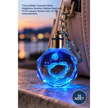 Yenilig 10 Adet Işıklı Kristal Anahtarlık – Yunus Balığı Tasarımlı Renk Değiştiren Anahtar Halkası Keychain, Pil Ile Çalışan Kristal Cam 10 cm