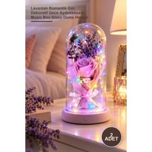 Yenilig 2 Adet Işıklı Müzikli Cam Fanus – Lavantalı Romantik Gül, Dekoratif Gece Aydınlatması, Music Box Glass Dome Hediye