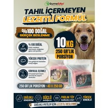 GurmeRAW | BARF PLUS + RAW SPECIAL | 250 gr Porsiyonlu | Günlük Fayda-Performans Kombinasyonu