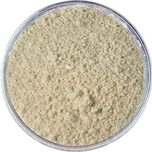 Defne Store Alfa Amilaz Enzimi 1 kg