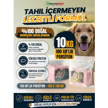 GurmeRAW | BARF PLUS + RAW SPECIAL | 100 gr Porsiyonlu | Günlük Fayda-Performans Kombinasyonu