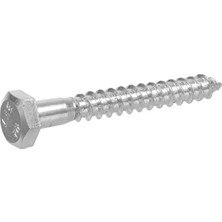 Defne Store 230009 Hex Lag Vida, 1/4 Inç x 1 – 1/2 Inç, Çinko, 100 Adet