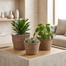 Defne Store Deconox 3'lü 25X18 cm 22X15 cm 20X13 cm Yuvarlak Hasır Saksı Seti, El Yapımı Doğal Dokulu Iç Astarlı Dekoratif Saksı, Büyük Orta Küçük, Geri Dönüşüme Uygun Hasır Set