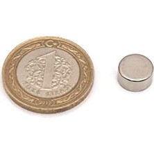 Defne Store Ø8x3 mm Neodyum Mıknatıs (20 Adet Set)