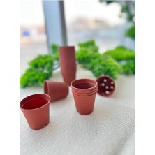 Defne Store Üretim Saksı 100 Adet 5,5x5 cm Kaktüs Sukulent Plastik Küçük Saksı, Kahverengi