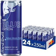 Defne Store Enerji Içeceği; Yaban Mersini, 250 ml (24'lü Paket, 24 x 250 Ml)
