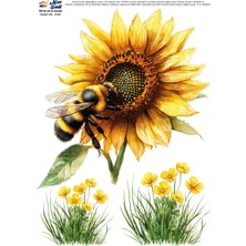 Mavi Sanat Ütü ile Rub On Transfer Kağıdı A4 Model No: 0144