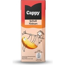 Defne Store Kutu, Şeftali Nektarı Karton 27X200 ml
