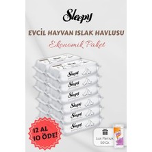 Defne Store 12 Al 10 Öde Evcil Hayvan Mendili