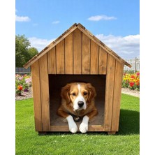 Vovikon Ahşap Köpek Kulübesi Pati Evi Yuvası