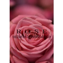 Defne Store Rose: Kadınlar Için Motivasyon Günlüğü