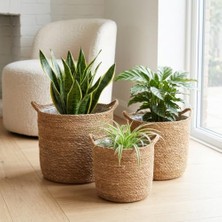 Defne Store Yuvarlak Kulplu Hasır 3'lü Saksı Seti; El Örmesi Doğal Dekoratif Saksı, Iç Koruma Poşetli Hasır Saksı Seti, Büyük 25X24 cm Orta 22X22 cm Küçük 19X20 cm