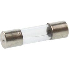 Defne Store Mikrodalga Cam Sigorta 5A 20 mm F5AL 250V, Gri, 10 Adet