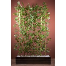 Defne Store Bambu Seperatör 170 cm Balkon Saksısı