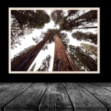 Defne Store Çerçeve, 20LIK Naturel Krem Poster Resim Puzzle 48X68 cm 1000 Parça Çerçevesi Pvcli Postersiz Resimsiz