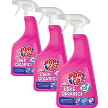 Ms Leke Çıkarıcı Sprey Premium 750 ml (3 Paketi)
