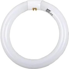 Ms 22W Simit Floresan G10Q 22W/865