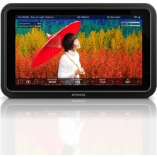 Ms Shinobi Iı 5.2 HDMI Hdr Monitör