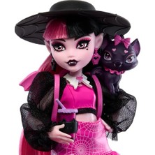 Ms Acayip Havalı Arkadaşlar - Draculaura Evcil Hayvanı Kont Fabulous ve Aksesuarlarıyla Monster High Acayip Havalı Arkadaşlar - Draculaura HRP64