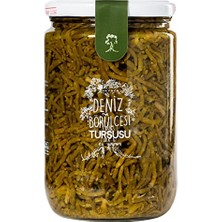 Defne Store Deniz Börülcesi TURŞUSU-660 G.