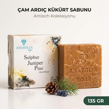 Ms Çam Ardıç Katranlı Kükürt Sabunu - Doğal El Yapımı Katı Sabun, Yüz Saç ve Vücut Için, Zeytinyağlı, Vegan (Tekli)