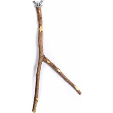 Ms Doğal Ağaç Çatallı Kuş Tüneği Papağan Tünek Kafes Için Doğal Ahşap Çatal Dal Tünek Boy 25-30 cm