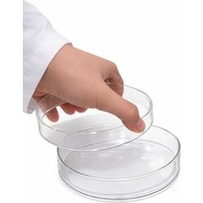 Defne Store 10 cm Cam Petri Kabı