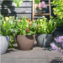 Defne Store Nanda Gri Desenli Plastik Saksı Çap 22 cm Yükseklik 17 cm
