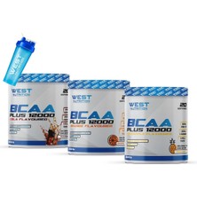 Bcaa Plus 12000 L-Glutamin Taurin 60 Servis 3 Aroma